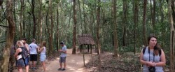 Cu-Chi-Tunnels_4